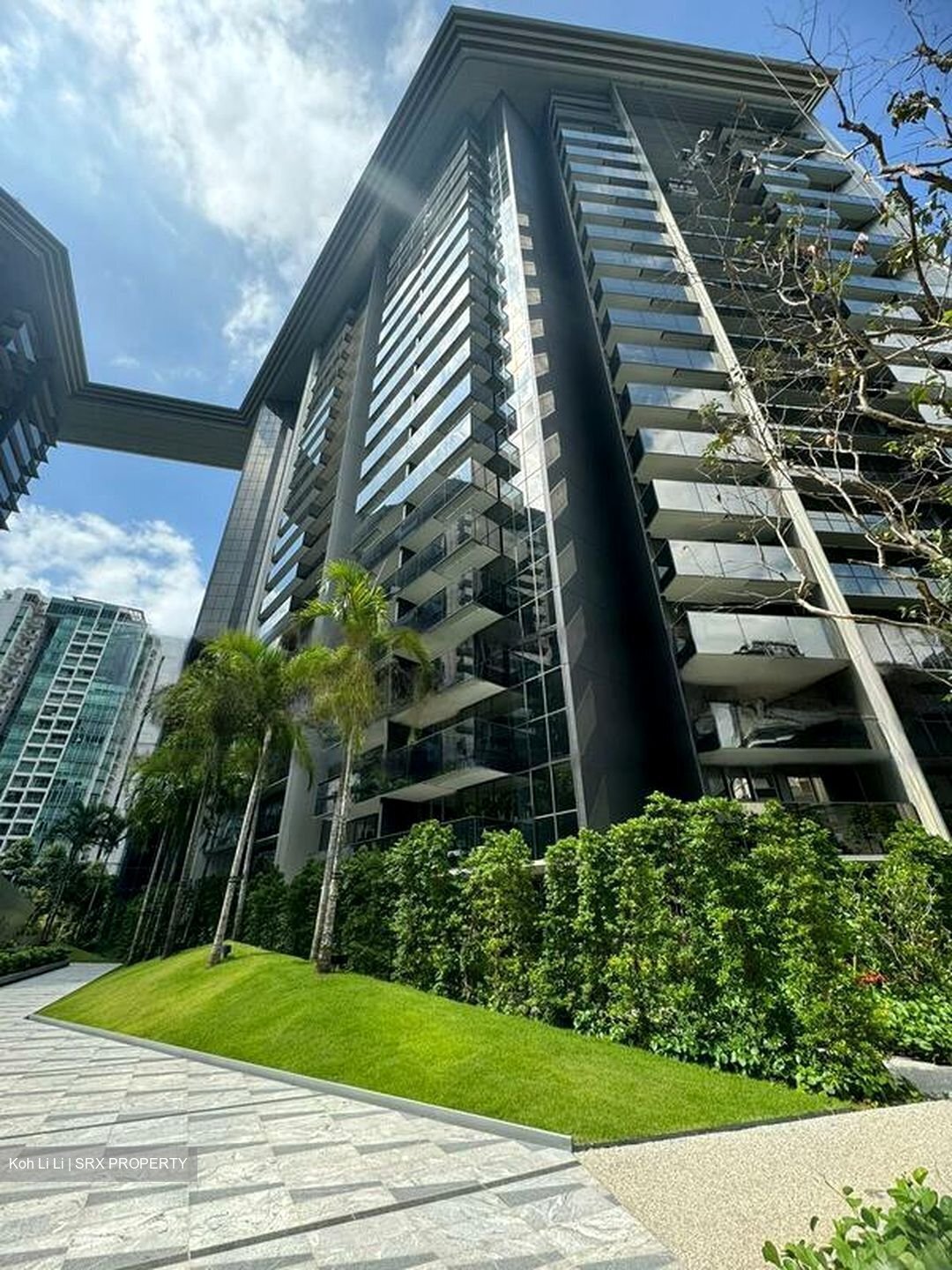 Amber Park (D15), Condominium #425325271